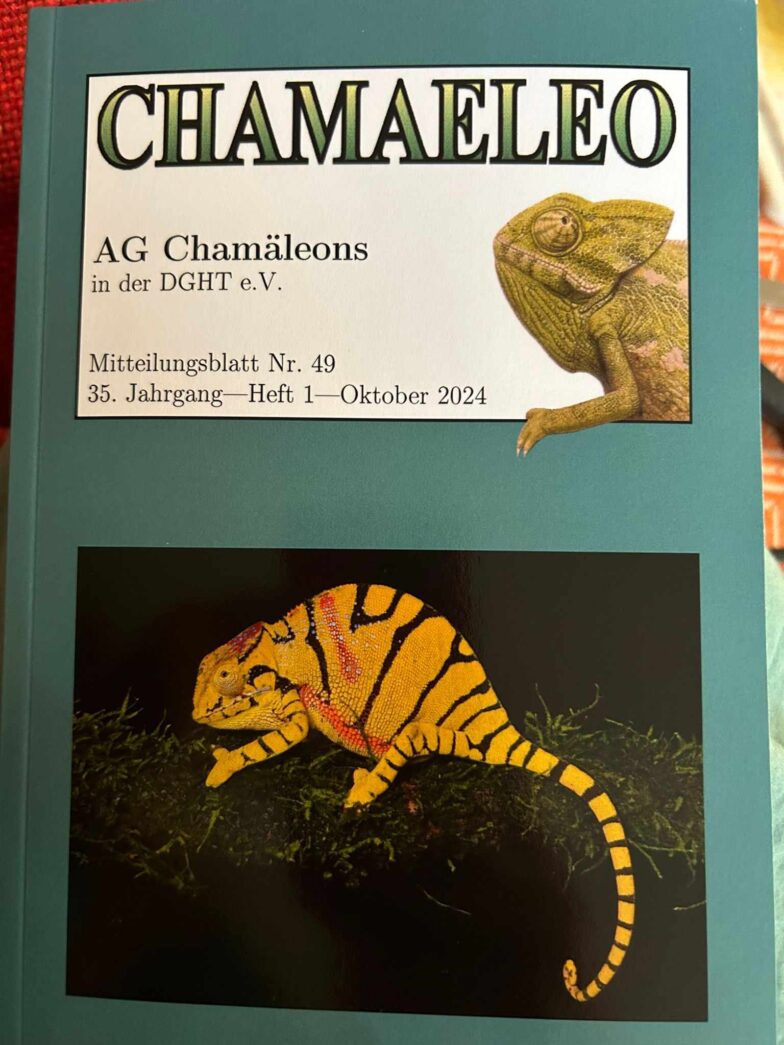 The new CHAMAELEO is out now!